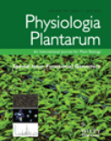 2013 Physiologia Plantarum Cover